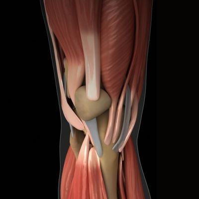Reconstrucciones tendinosas ligamentosas complejas